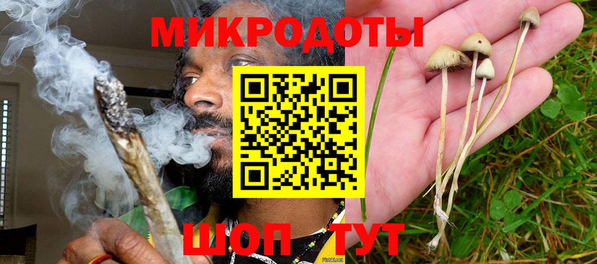 Шарыпово  Псилоцибиновые грибы Psilocybe  Вход с VPN 